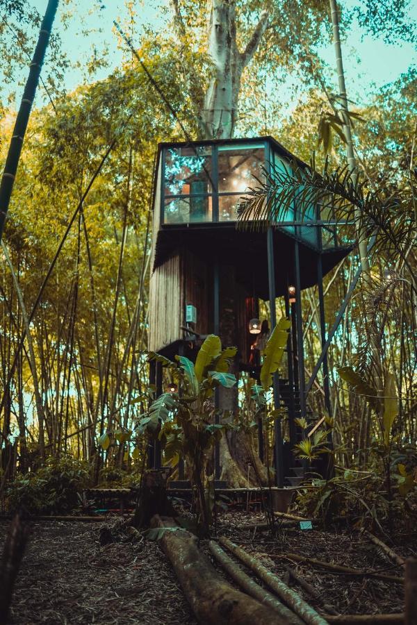 Amanatu Ecolodge & Spa Quimbaya Exteriör bild