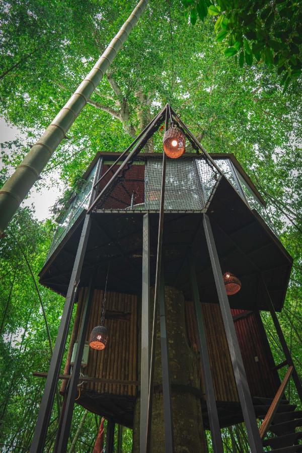Amanatu Ecolodge & Spa Quimbaya Exteriör bild