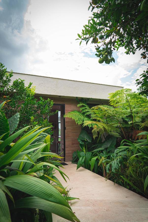Amanatu Ecolodge & Spa Quimbaya Exteriör bild